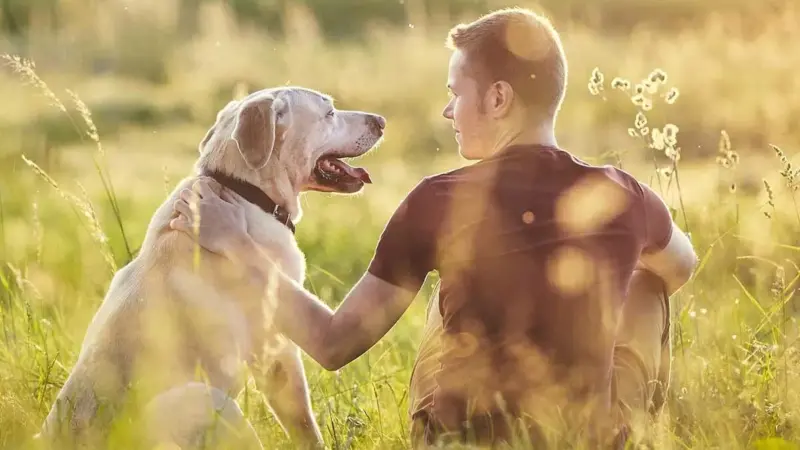 National Dog Dad Day: Celebrating the Bond Between Men and Their Canine Companions