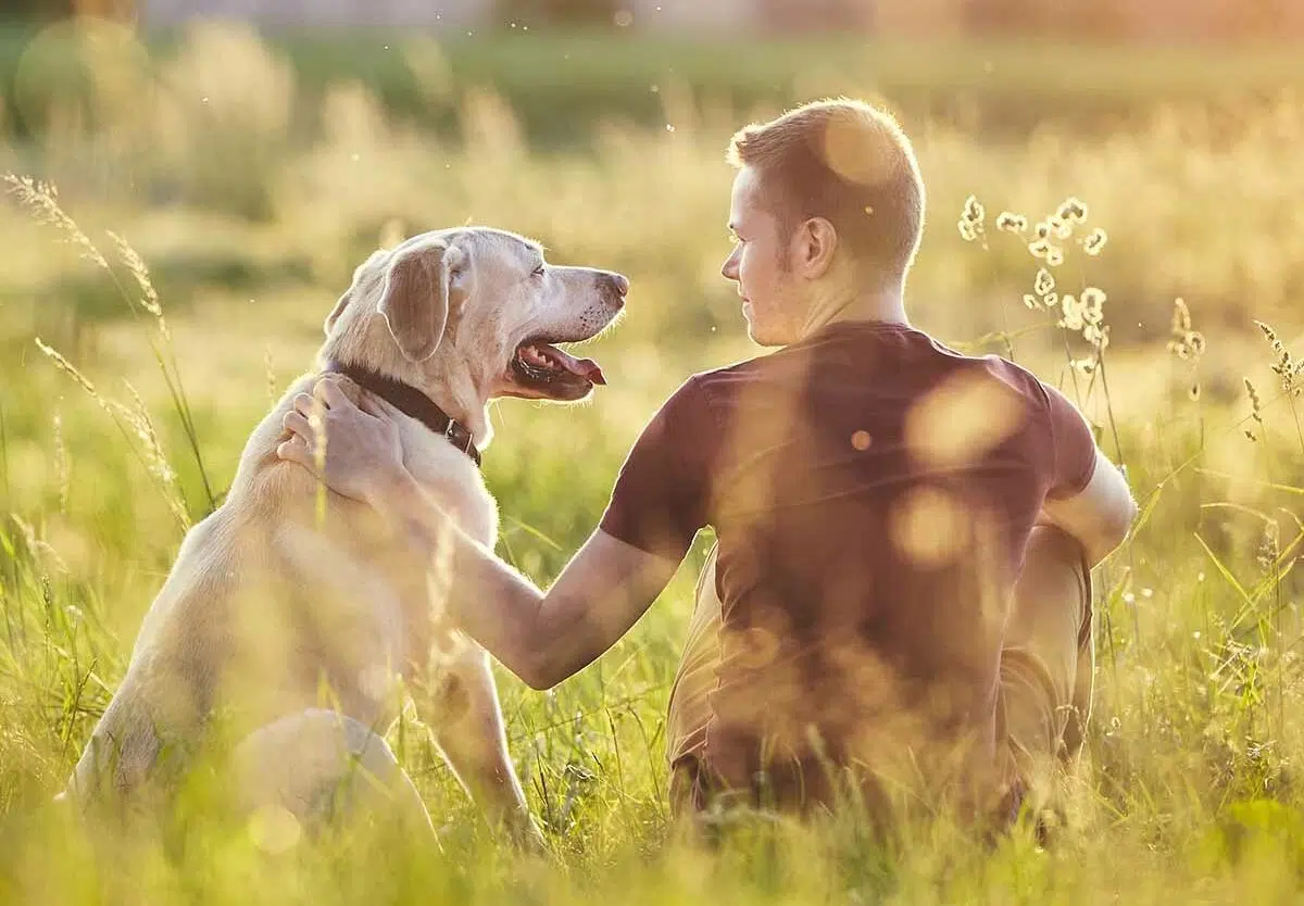 National Dog Dad Day: Celebrating the Bond Between Men and Their Canine Companions